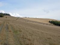 Long grassy ridge